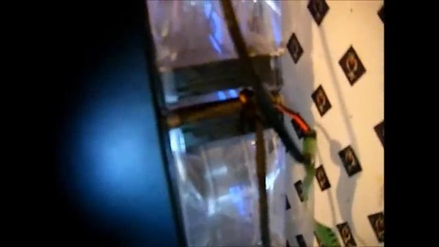 wedgoku Video Update 10-12-2012 Part 3 смотреть онлайн