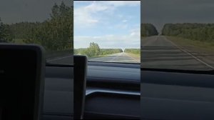 хавал м 6 ...или ответ на последнее видео "подорожника"