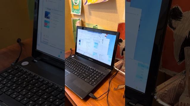 Запустил memz Trojan на windows 11. смотреть онлайн