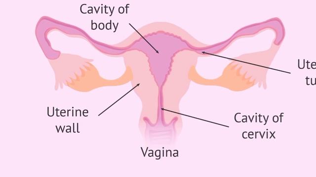 How to get rid from coronavirus symptoms through banana flower смотреть онлайн