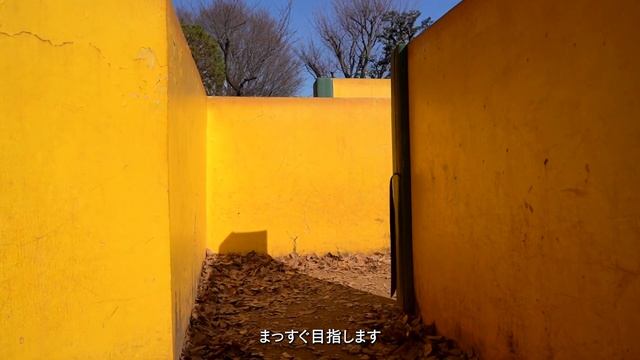 Kota Shiga - Practice of Shooting смотреть онлайн