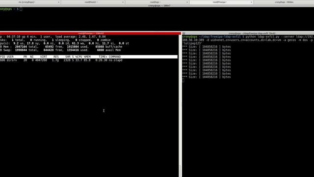 FreeIPA Memory Exhaustion ns-slapd Remote DOS смотреть онлайн