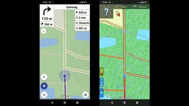 Kurviger (Cruiser) vs Locus Navigation. смотреть онлайн
