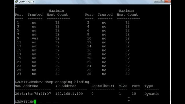 How to configure DHCP Snooping смотреть онлайн