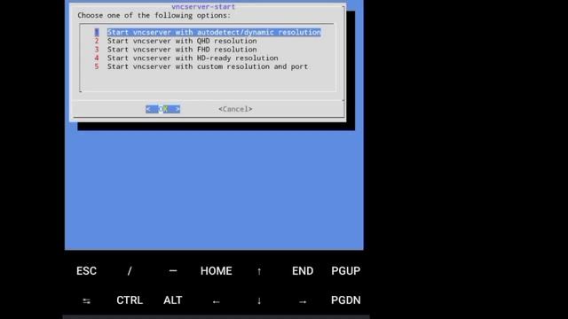LINUX DISTRIBUTION ON YOUR PHONE (ANDROID) смотреть онлайн