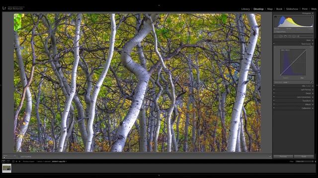 MASTERING COLOR BALANCE AND WHITE BALANCE смотреть онлайн