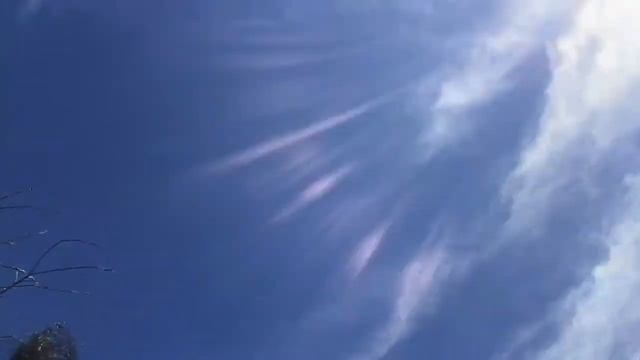 Climbing out the window (vloging) смотреть онлайн