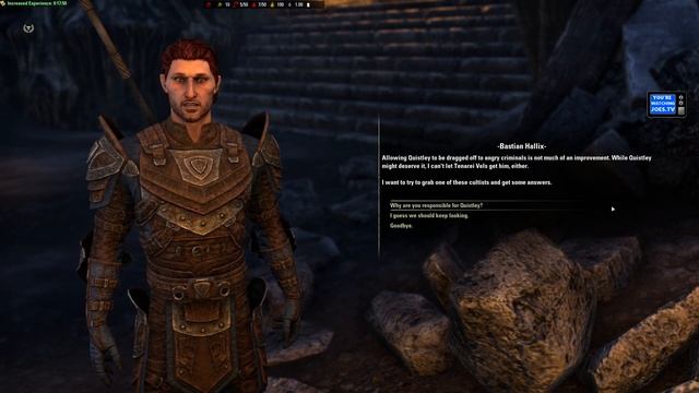 ESO Fluffy's Journey: Getting her second companion смотреть онлайн