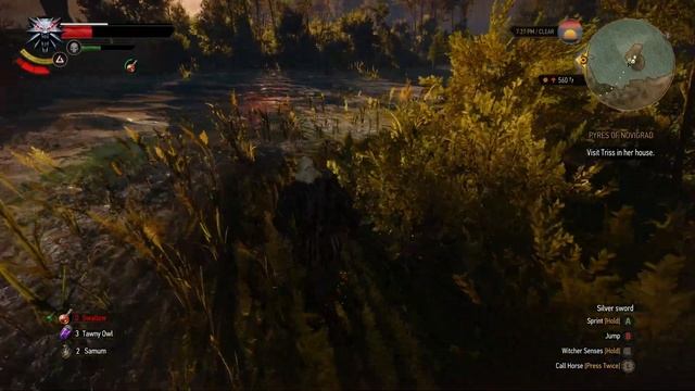 Let's Play: The Witcher 3: Wild Hunt - Part 16 - No Commentary (Windows 11) смотреть онлайн