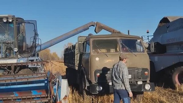 38 Завершаем уборочную на гречихе! Раненые, но не побежденные...