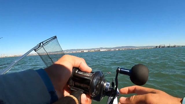 EPIC Live Bait California Halibut Fishing Ends With A BANG