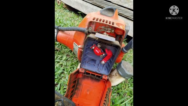 Limpando roçadeira óleo Mac смотреть онлайн