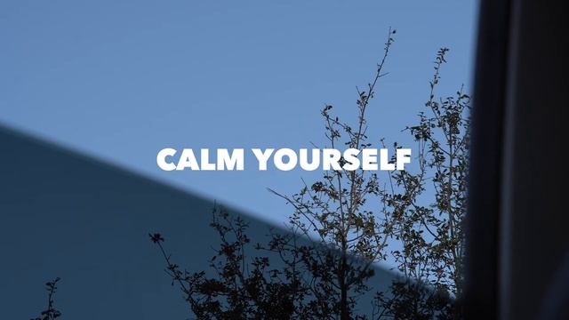 Looking out a window - Relaxing Park Sounds to sleep/ study/ work смотреть онлайн