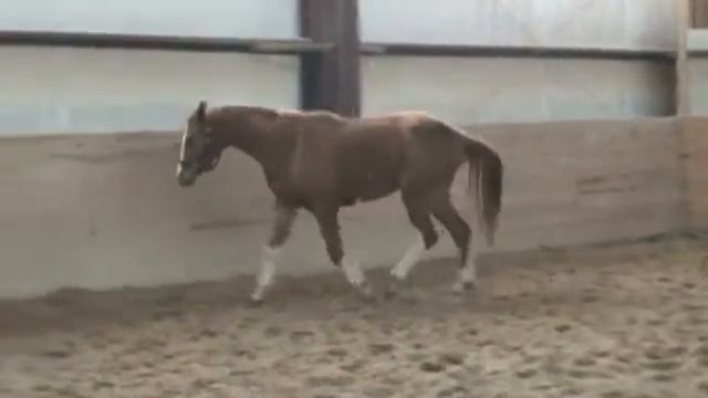 Tenacious Acres - Maserati смотреть онлайн