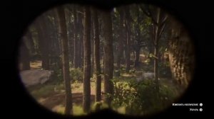 Превосходная Шкура Пантеры. Red Dead Redemption 2.