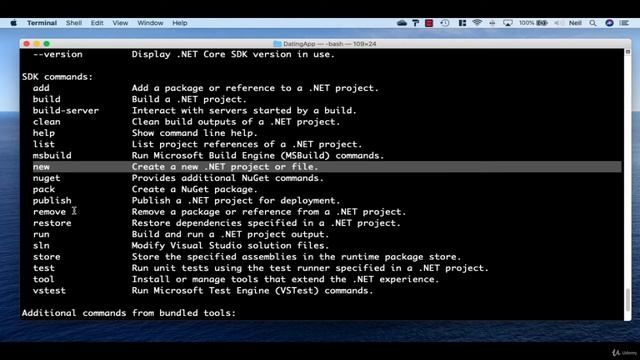 2 Creating the DotNet Core WebAPI using the DotNetCLI смотреть онлайн
