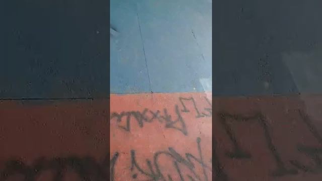 Skate Perus sp.rad ctba смотреть онлайн