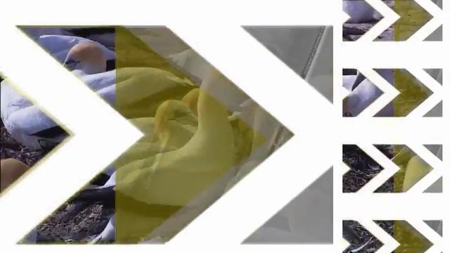 Edición en Sony Vegas de un Clásico de Windows 7 смотреть онлайн