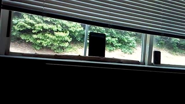 #RATCHET #WELFARECREW #UNSUPERVIDEDKIDS #SCREAMING @MYWINDOW #PEEPING 71516@310pm смотреть онлайн