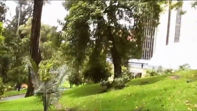 Dirky in Kolumbien смотреть онлайн