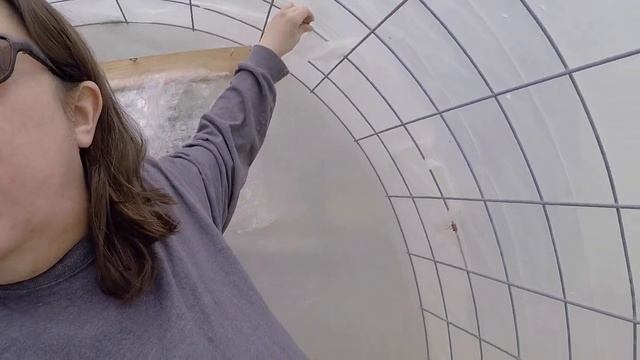Homemade Greenhouse Tour смотреть онлайн