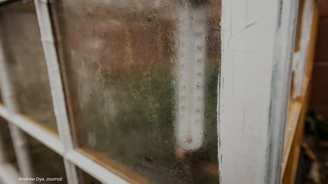 Watch Now: Helen Parsonage’s glass window cold frame in her garden in Winston-Salem смотреть онлайн