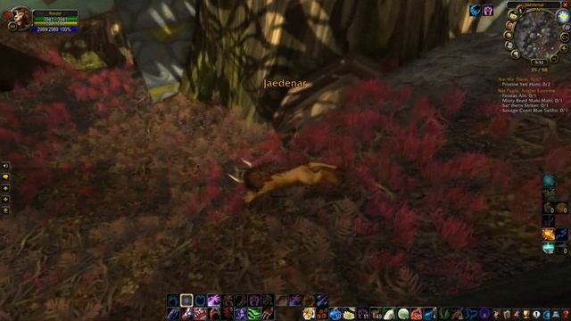 The Best Spot For Felwood's Corrupted Flowers (Whipper Root Tuber / Night Dragon's Breath) [Classic