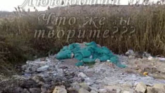 Кривая Балка смотреть онлайн