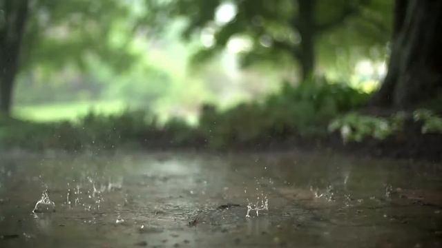 Raining - Some #people feel the #rain, others just get wet смотреть онлайн