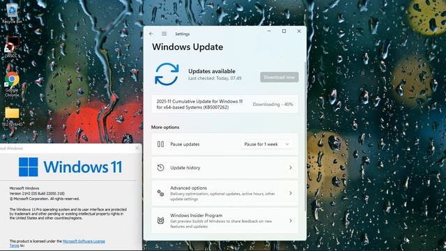 2021-11 Cumulative Update for Windows 11 for x64-based Systems (KB5007262) - New Windows 11 Update смотреть онлайн