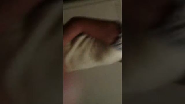 VID_20140803_000145_264.mp4 смотреть онлайн