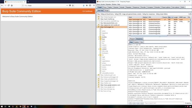 Getting Started With Burp смотреть онлайн