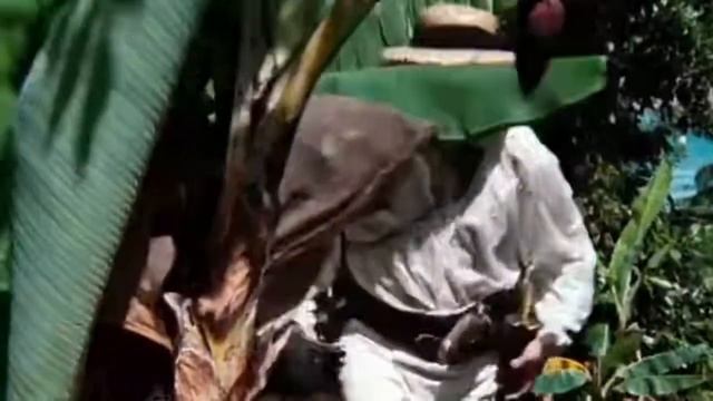 The Prestige 2006 ᖴυℓℓ ᗰᴏv𝔦𝔢 Christian Bale ᗰᴏv𝔦𝔢𝔰