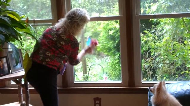 Norwex Window Cloth: No More Streaks смотреть онлайн