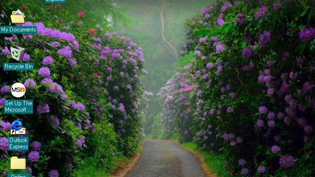 Windows 98 Startup and Shutdown with the Microsoft Bing wallpaper of the day 13th March 2021 смотреть онлайн