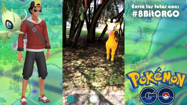 COMO USAR AR+ EN ANDROID Y iOS?! [GUIA] | 828 | POKEMON GO смотреть онлайн