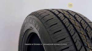 Летние шины Nexen Roadian HTX RH5