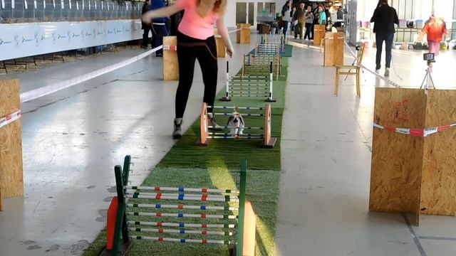 Předváděcí akce #2 | Výstaviště Brno - 3.12.2016 смотреть онлайн