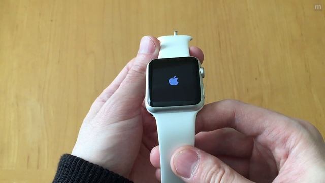 Apple Watch (Sport Edition 42mm Case)