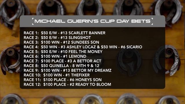 The Box Seat: New Zealand Cup Day Bets смотреть онлайн