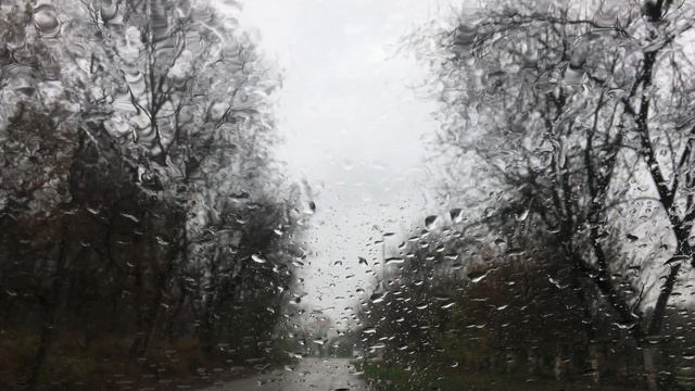 Nature Sounds - 4K Gentle Rain on Glass - 1 Hour - Sleep Instantly - Focus / Relax / Meditate смотреть онлайн