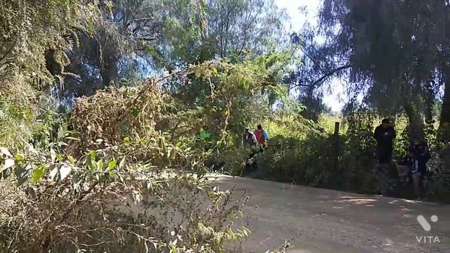 carreras San Lorenzo Tarija смотреть онлайн