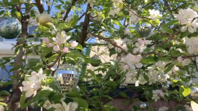 Fun Garden Moments: Apple Tree is Blooming смотреть онлайн