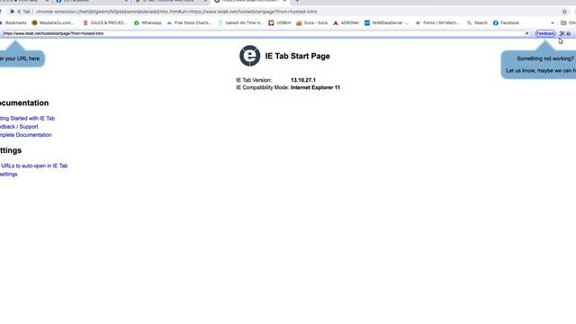Internet Explorer in Mac смотреть онлайн