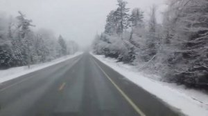 Сравнение американских и европейских грузовиков