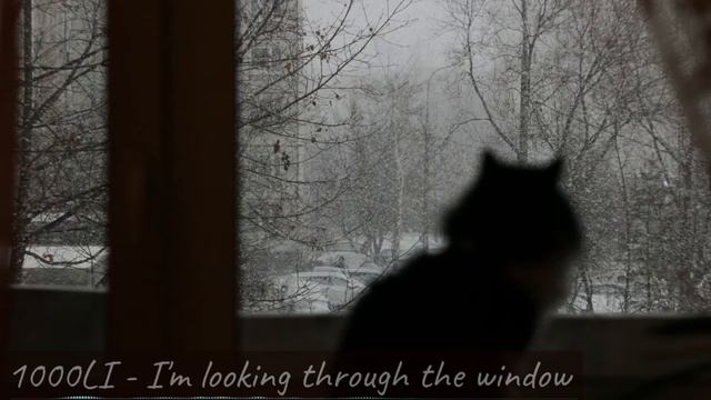 1000LI - I'm looking through the window (Lo-Fi Chillout) смотреть онлайн