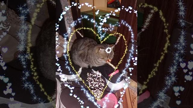 Кошка Баст смотреть онлайн