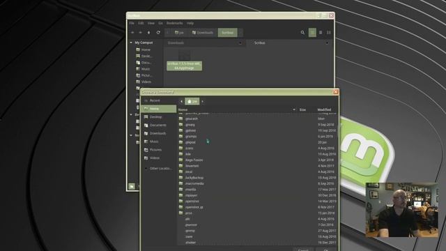 Create Desktop Launcher For AppImage In Linux Mint смотреть онлайн