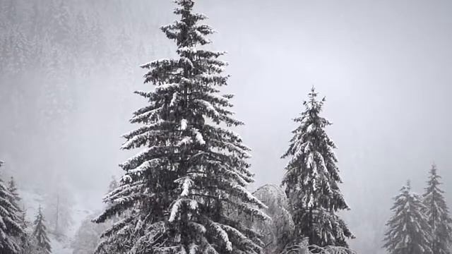 Surah Al Rahman by Abdul Basit..... Amazing Quran Tilawat....... Abdu Basit Heart Touching Quran смотреть онлайн