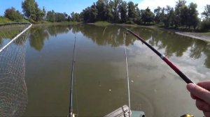 Рыбалка на карася. Ловим карася на донки на реке .